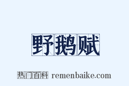 野鹅赋是什么意思的图片